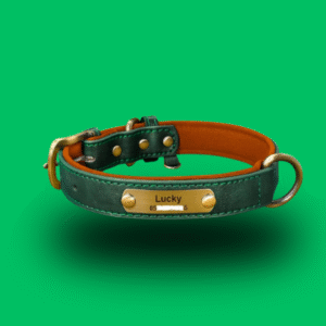 Stylish Personalized Leather Dog Collar
